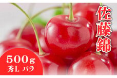 07-01-021　さくらんぼ(佐藤錦)500g