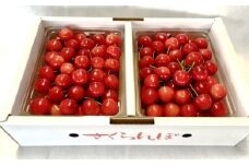06B0005　さくらんぼ(佐藤錦)1kg