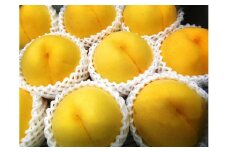 07-01-009　もも(黄貴妃)2kg