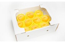 07-06-012　もも(大玉黄桃)約3kg