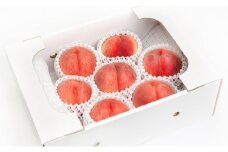 07-06-013　もも(大玉硬い白桃)約3kg
