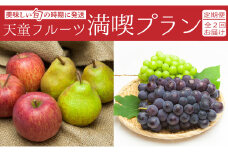 07-06-027　天童フルーツ満喫プラン(定期便)全2回