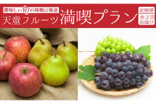 07-06-027　天童フルーツ満喫プラン(定期便)全2回