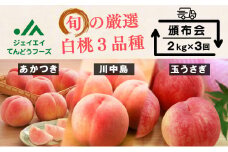 07-01-034　もも３種の頒布会(定期便)全3回