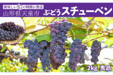 07-06-006　ぶどう(スチューベン)2kg