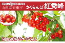 07-06-021　大玉さくらんぼ(紅秀峰)500g
