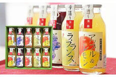 07-10-045　100%フルーツジュース10本入り