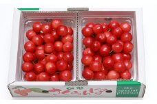 06A0005　さくらんぼ(佐藤錦)700g