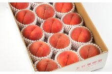 07-03-019　もも(川中島白桃)4.5kg