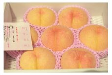 07-07-006　もも(秋香雪桃)2.5kg