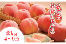 07-01-012　もも(品種おまかせ)2kg