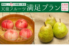 07-06-026　天童フルーツ満足プラン(定期便)全2回