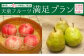 写真はイメージです