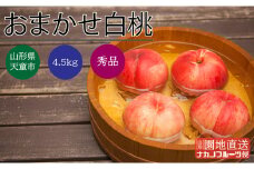 07-06-011　もも(おまかせ白桃)4.5kg