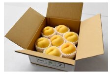 07-10-007　もも(黄貴妃)2kg　