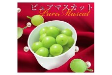 06A0291　ピュアマスカット 6カップ入り　