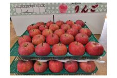 07-05-015　りんご(小玉サンふじ)約10kg