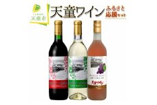 07-17-009　天童ワインふるさと応援セット