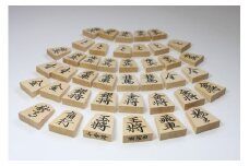 07-22-009　将棋駒(彫駒・菱湖書)