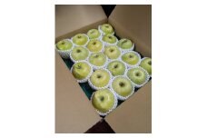 07-05-022　りんご(王林)約5kg