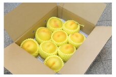 07-10-017　もも(黄金桃)3kg　　