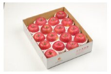 07-03-100　贈答用サンふじ5kg