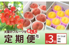07-10-035　天童のフルーツを楽しむ定期便【馬】（さくらんぼ、白桃、黄桃）
