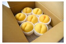 07-10-009　黄桃(品種おまかせ)2kg