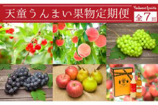 07-06-032　天童うんまい果物定期便　全7回