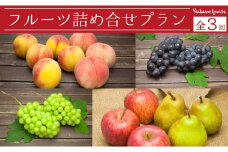 07-06-030　天童フルーツ詰合せプラン(定期便)全3回