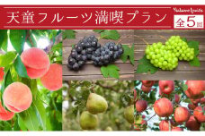 07-06-031　天童フルーツ満喫プラン(定期便)全5回