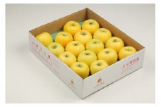 07-03-097　農家オススメ旬の黄りんご5㎏