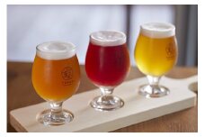 07-37-005　TENDO BREWERY・クラフトビール6本セット