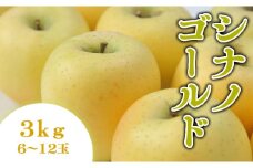 07-01-040　りんご(シナノゴールド)3kg