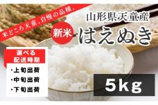 07-01-133-11B はえぬき5kg [2025年11月中旬発送・令和7年産]