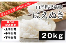 07-01-151-11C はえぬき20kg(5kg×4袋)【2025年11月下旬発送・令和7年産】