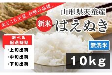 07-01-142-11B　はえぬき 無洗米10kg　[2025年11月中旬発送・令和7年産] 