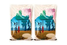 07-30-047　はえぬき10kg[令和7年産]