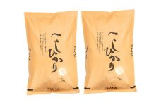 07-30-048　コシヒカリ10kg[令和7年産]