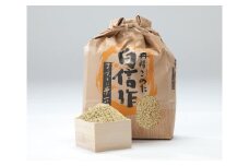 07-05-031　つや姫玄米10kg[令和7年産]