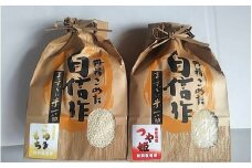 07-05-028　もち米・つや姫セット5kg[令和7年産]