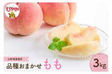 【2025年産 先行予約】 2025年もも (品種おまかせ) 3kg JA提供 山形県 東根市 hi003-124-1