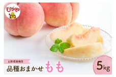 【2025年産 先行予約】 2025年もも(品種おまかせ)5kg JA提供 山形県 東根市 hi003-125-1