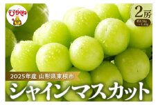 【2025年 先行予約】ぶどう「シャインマスカット」2房 (約1.3kg～1.4kg) 山形県 東根市 hi003-128-1