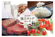 【定期便4回】強力タッグコース春季分(2025年5月スタート) さくらんぼ 山形牛ステーキ つや姫 酒 hi999-026-1