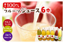 ねっづくすぼた100％ジュースセット　hi004-hi030-003r