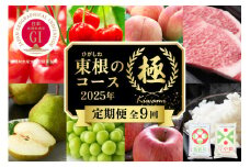 【2025年先行予約 9回 定期便】山形県 東根市産「極」コース さくらんぼ 桃 シャインマスカット りんご ラ・フランス お米 肉 hi999-024-1