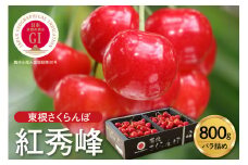 【2025年産 先行予約】GI 「東根さくらんぼ」紅秀峰 800g バラ詰め JA園芸部提供  山形県 東根市　hi001-029-1
