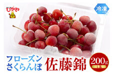 フローズンさくらんぼ「佐藤錦」200g入 有限会社佐藤錦提供 山形県 東根市 hi004-hi029-013r