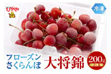 フローズンさくらんぼ「大将錦」200g入 有限会社佐藤錦提供 山形県 東根市 hi004-hi029-016r